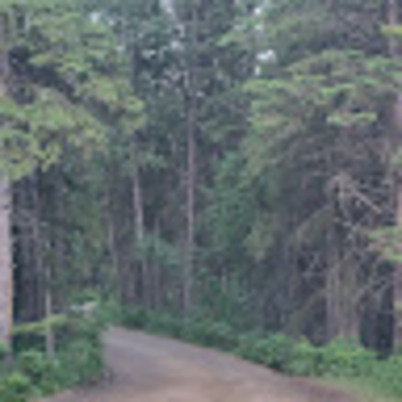 alenaoliynyk